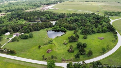 31.5 Acres C Hwy, Lincoln, MO 65338 - photo 4