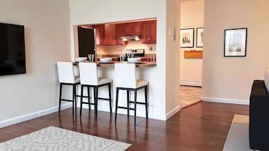 65 Brookline St unit 3, Cambridge, MA 02139 - photo 2