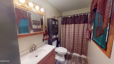 Cabin-04202023_131757