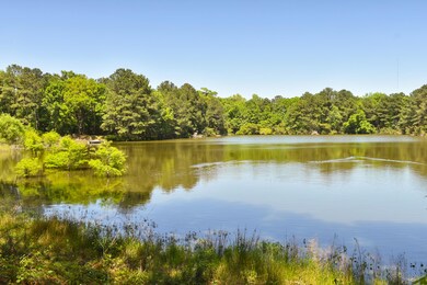 4420 Wando Farms Rd, Awendaw, SC 29429 - photo 6