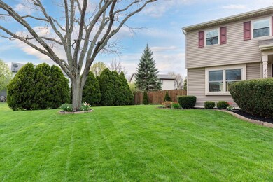 Front yard