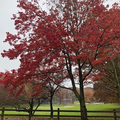 133 Beaconsfield Rd unit 24, Brookline, MA 02445 - photo 4