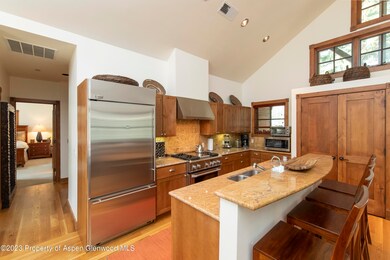 507 W Main St unit C201, Aspen, CO 81611 - photo 3