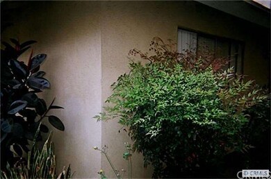GARDEN OUTSIDE
