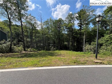 TBD Laurel Ln, Blowing Rock, NC 28605 - photo 4