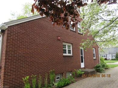 North side of home (These ferns do not stay)