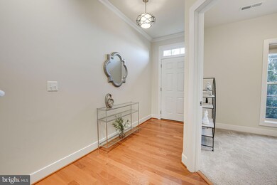 46678 Joubert Terrace, Potomac Falls, VA 20165 - photo 4