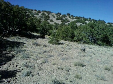 0 Camino Del Oso, Placitas, NM 87043 - photo 6