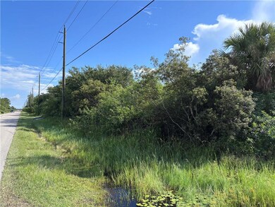0 29th Ave NE unit 225067735, Naples, FL 34120 - photo 2