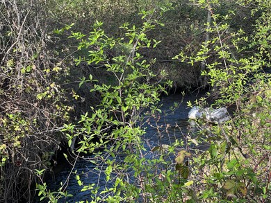 Creek Front Property