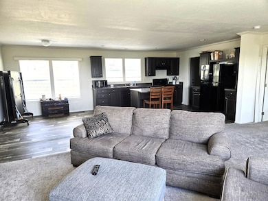 Living room to Kitchen area