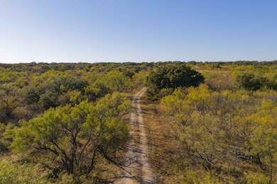 8400 Cr 201, Brownwood, TX 76801 - photo 2