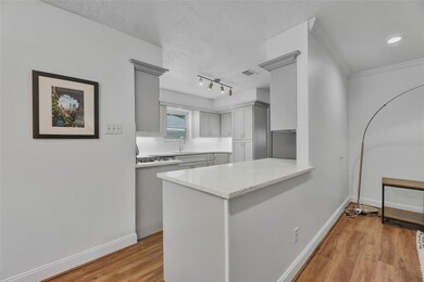 1007 Richelieu Ln, Houston, TX 77018 - photo 5