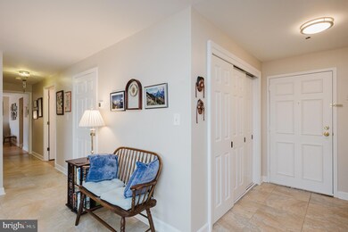 3 Southerly Ct unit 608, Towson, MD 21286 - photo 6