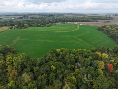 xxxx 270th St, Norway Township, MN 55971 - photo 5