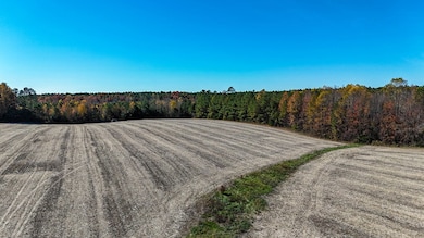 5662 Longview Dr, Kenbridge, VA 23944 - photo 7