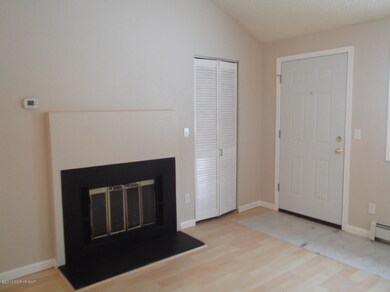 Living Room Fireplace
