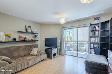 9-web-or-mls-52nd-9