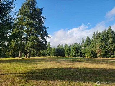 0 NE 1st St, Winlock, WA 98596 - photo 4