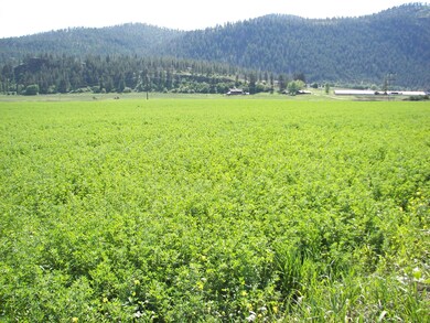 000 Schmidlekofer Rd, Chewelah, WA 99109 - photo 2