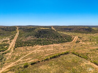 0000 Poverty Canyon Rd, Bronte, TX 76933 - photo 3