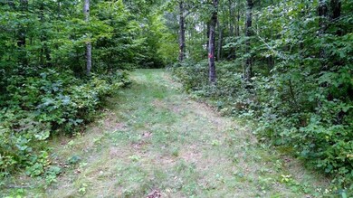 0 Hwy A unit 905098, Webster, WI 54893 - photo 4