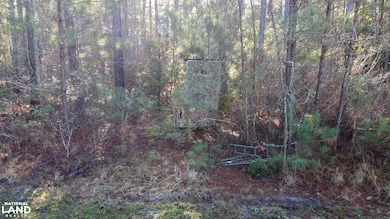 217 Wadboo Plantation Rd, Saint Stephen, SC 29479 - photo 7