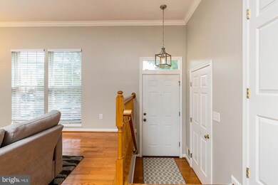 20325 Briarcliff Terrace, Sterling, VA 20165 - photo 4