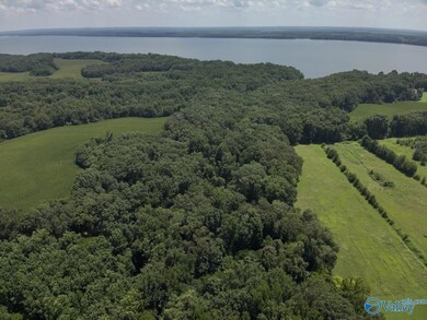 49.59 +/- Acres Snake Rd, Athens, AL 35611 - photo 5