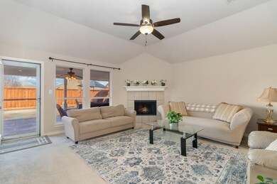 3002 Dylan Dr, Wylie, TX 75098 - photo 4