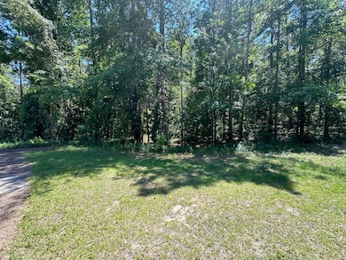 00 Sorin Cir, Elloree, SC 29047 - photo 2