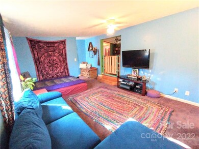 89 Conner Rd, Candler, NC 28715 - photo 6