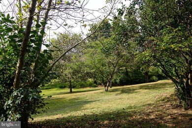 1314 Edenville Rd, Chambersburg, PA 17202 - photo 6