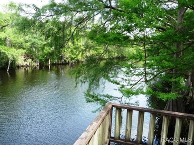 Down River View