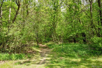 0 Michael St, Brandon Township, MI 48462 - photo 7