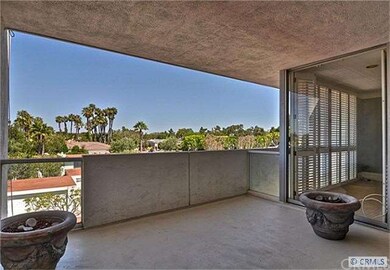 Patio Terrace