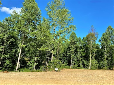 Lot 42