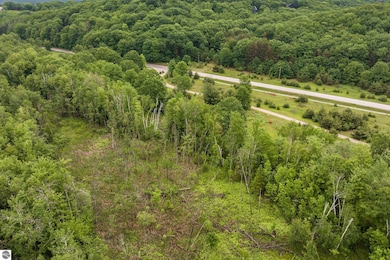 Lot 5 E Harbor Hwy, Cedar, MI 49621 - photo 5