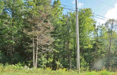 00 Route 100 S, Ludlow, VT 05149 - photo 5