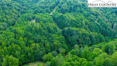 Tbd unit 8 Big Laurel Road, Creston, NC 28615 - photo 7