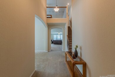 10919 Yaupon Holly, Helotes, TX 78023 - photo 4