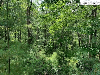 Lot #67 Autumn Fern Trail, West Jefferson, NC 28694 - photo 6