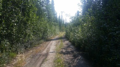 Road to property
