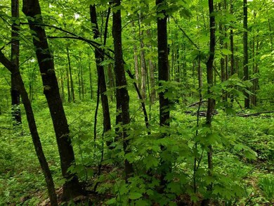 0 Huffman Lake Rd, Vanderbilt, MI 49795 - photo 7