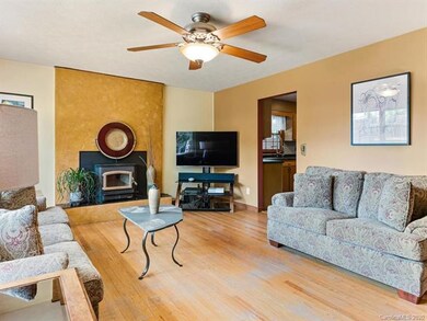 336 Old County Home Rd, Asheville, NC 28806 - photo 6