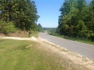 681 Morris Stevens Rd, Macon, GA 31217 - photo 3