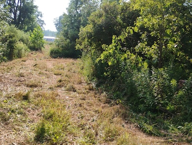 V/L 60 1 2 St, Bangor, MI 49013 - photo 7