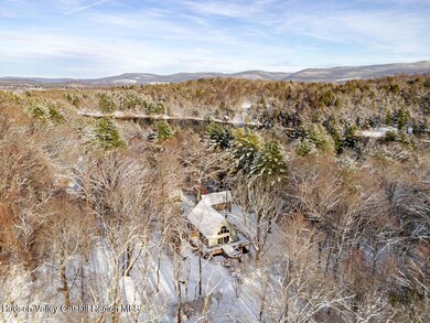 53 Snyder Pond Rd, Copake, NY 12516 - photo 5