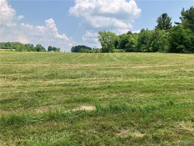 View of the acreage from the back window