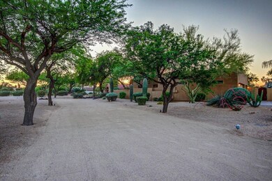 0079-Cholla (79)